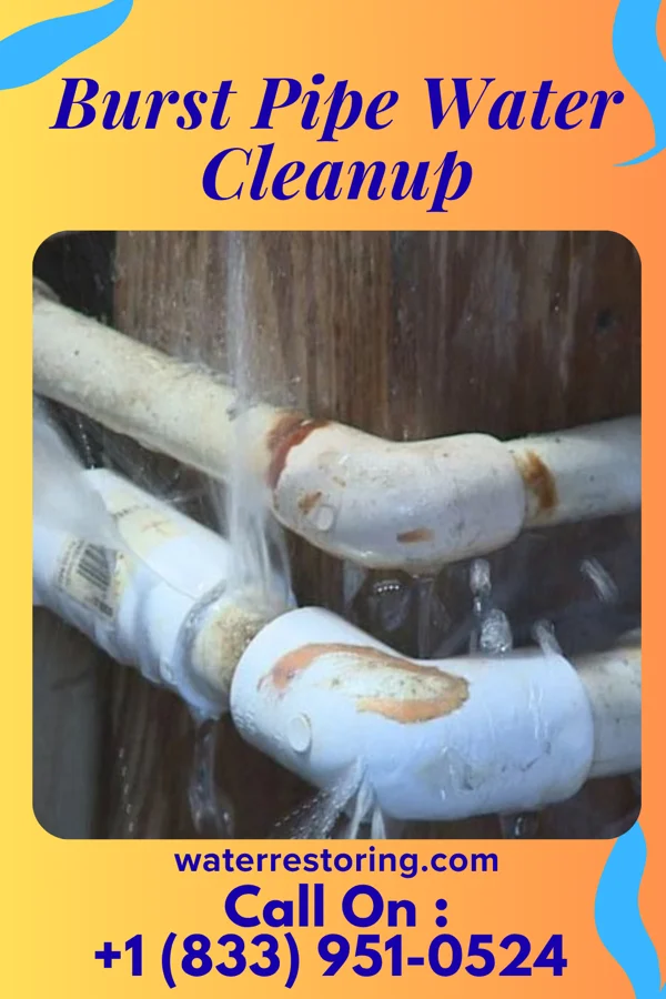 Burst Pipe Water Cleanup in Lenape Heights, PA