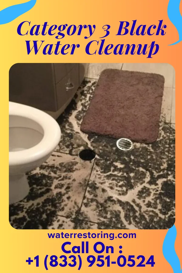 Category 3 Black Water Cleanup in Lenape Heights, PA
