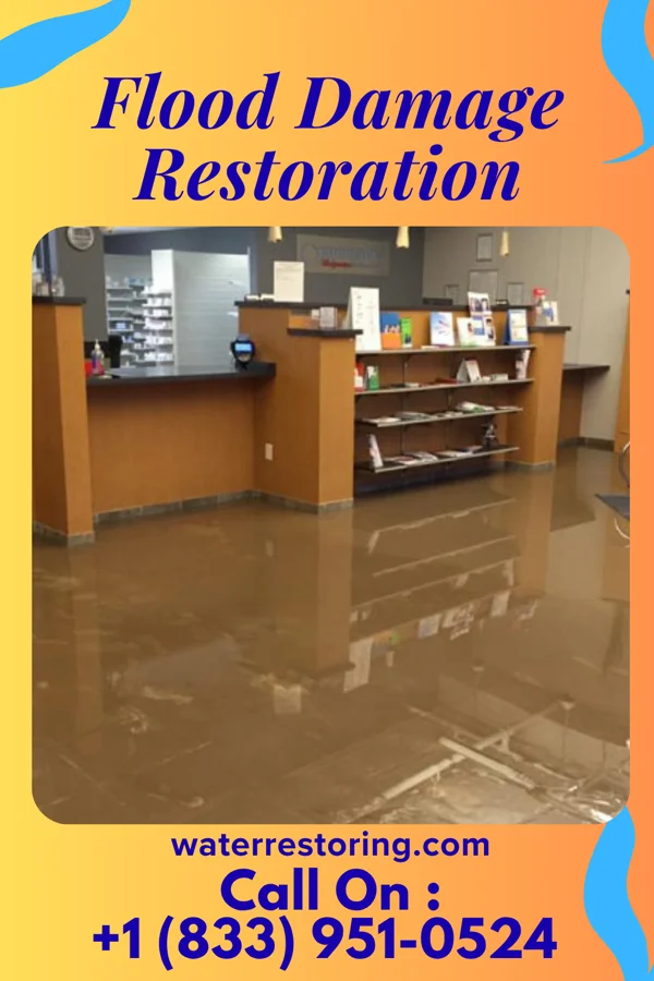 Flood Damage Restoration in Lenape Heights, PA