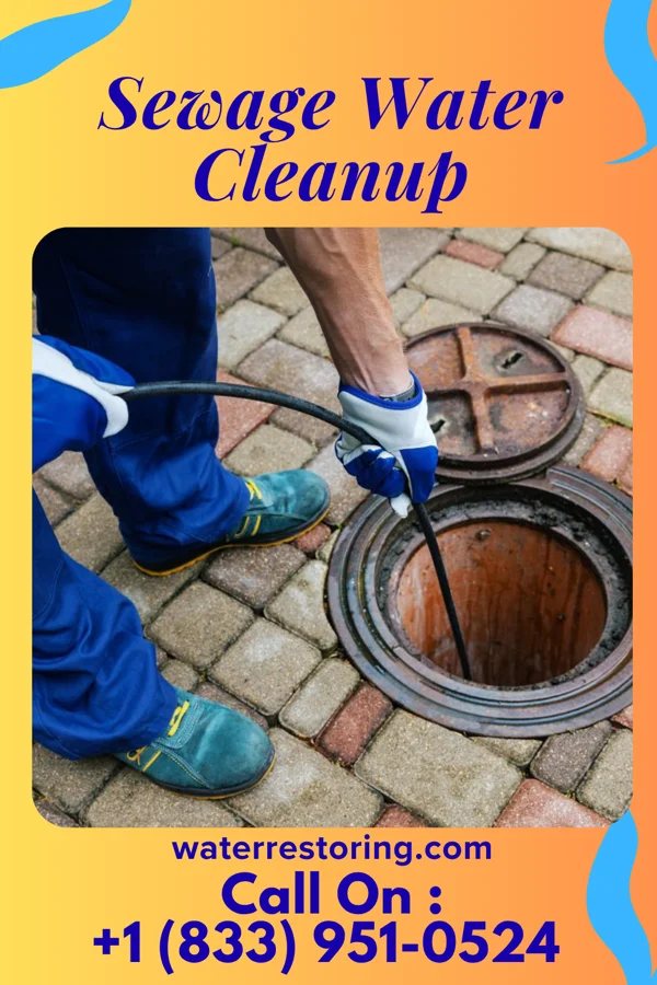 Sewage Water Cleanup in Lenape Heights, PA